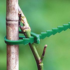 Spinki  opaski zaciskowe w kolorze zielonym  to przydatne akcesoria do montażu siatek i innych artykułów ogrodowych. Za ich pomocą można przymocować roślinę do tyczki czy stelaża lub połączyć rośliny tworząc kompozycje dekoracyjne. 