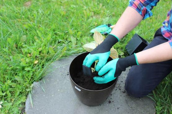 Rękawice z plastikowymi pazurami renomowanej marki Garden Line 