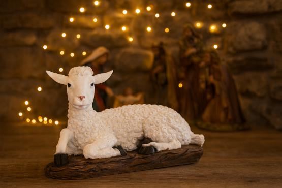 FIGURA OWCA 17 x 40 x 26 CM (106,68 CM) FIGURA OWCA 17 x 40 x 26 CM (106,68 CM)