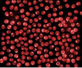 LAMPKI LED 100 L CZERWONY Z DODATKOWYM GNIAZDEM 