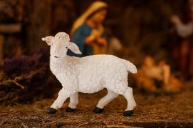 FIGURA OWCA 14 x 25 x 22 CM (76.2 CM)