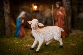 FIGURA OWCA 11 x 29 x 25 CM (91,44 CM)